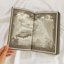 Alas de Sangre - Alas de Onix - Alas de Hierro EN ESPAÑOL